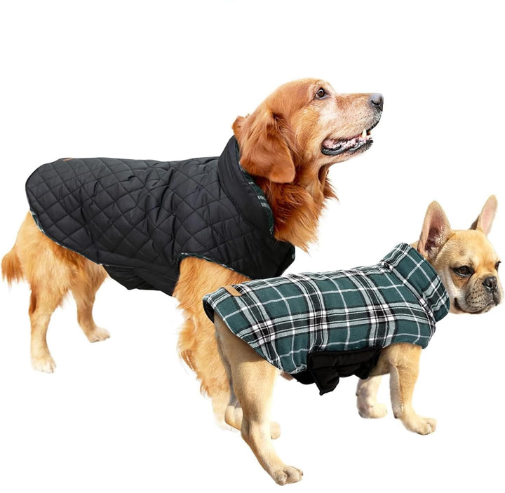 Cozy Waterproof Dog Jacket – Winter Coat in British Style-Green-S-State of Style