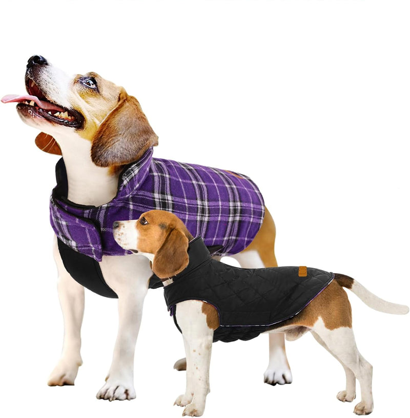 Cozy Waterproof Dog Jacket – Winter Coat in British Style-Purple-S-State of Style