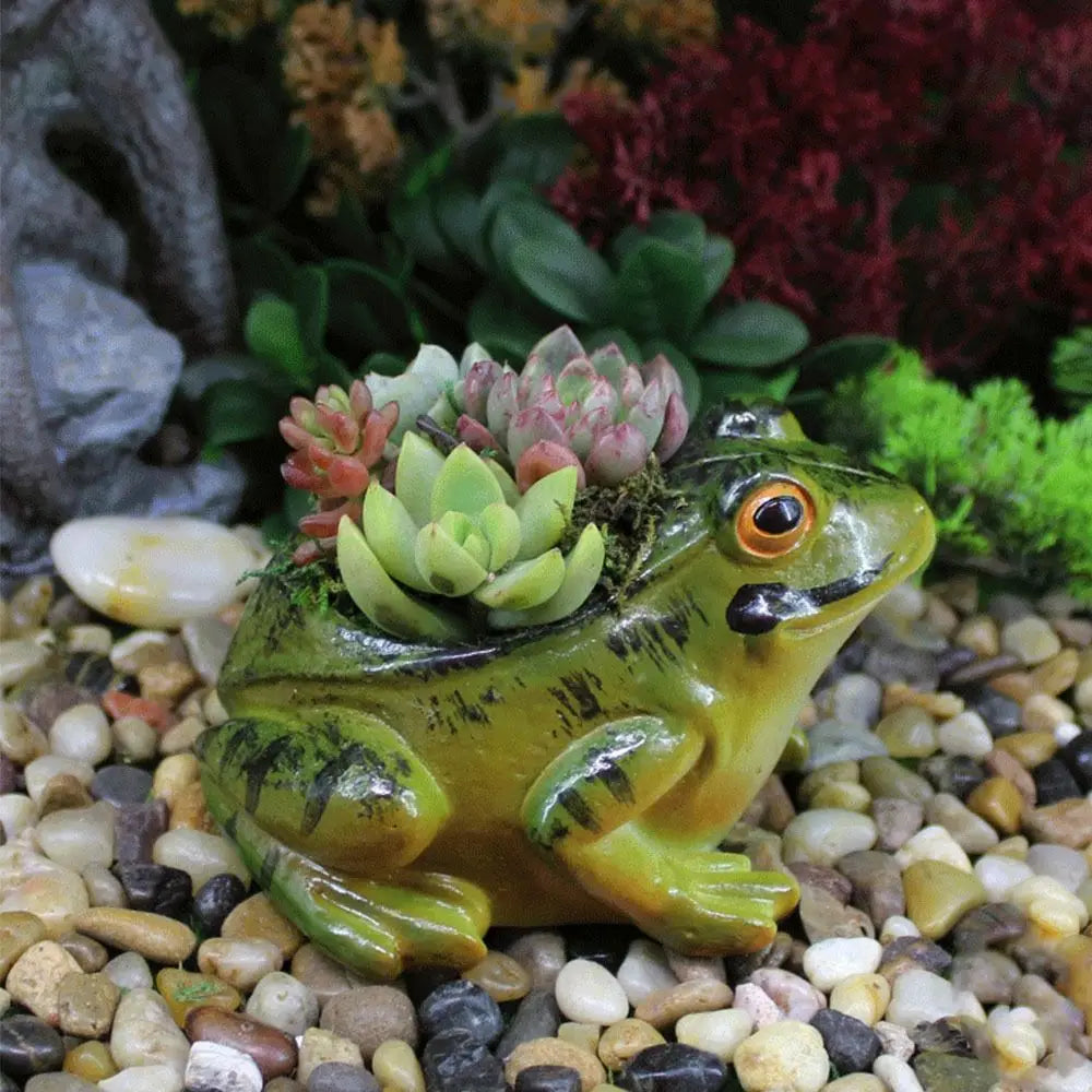 Cute Breathing Plant Pot - FroggyPot-State of Style