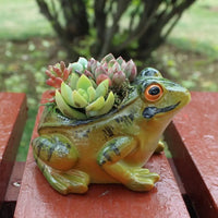 Cute Breathing Plant Pot - FroggyPot-State of Style