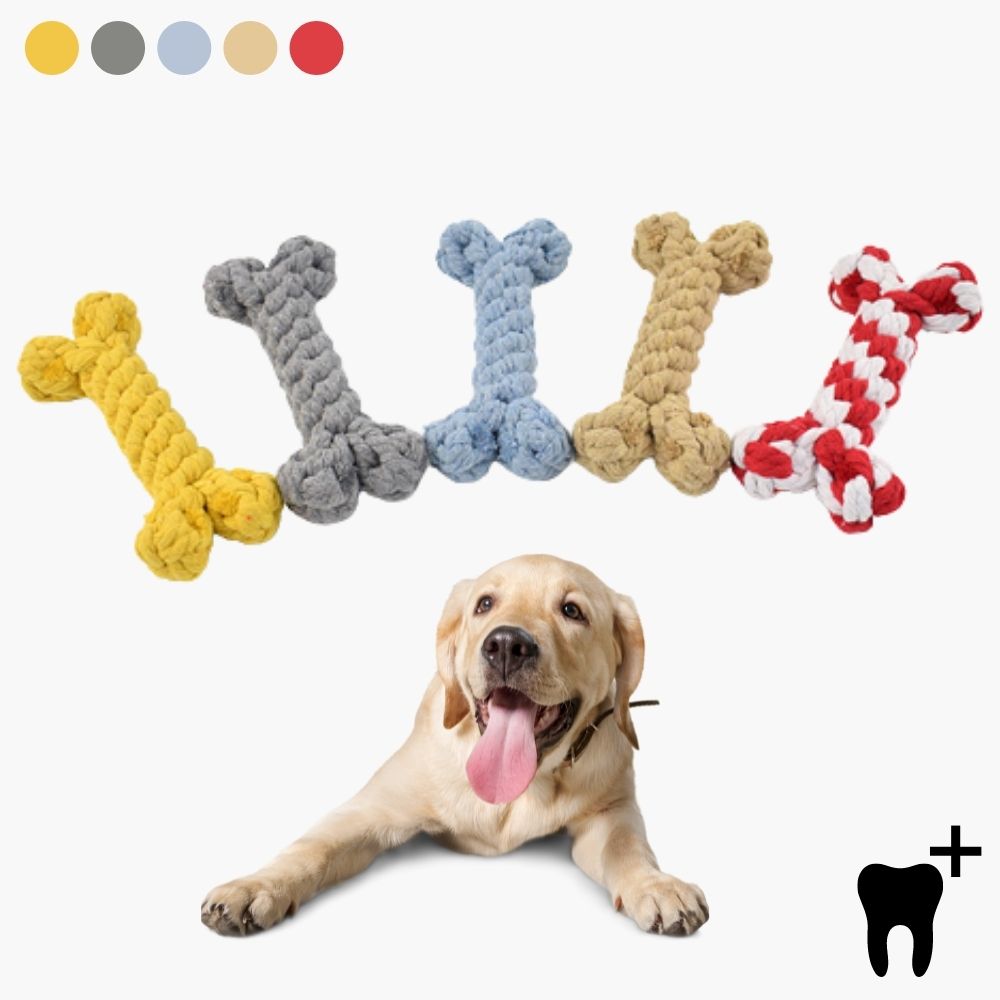 Dental Care Chew Toy for Dogs - CleanChew-Gray-State of Style