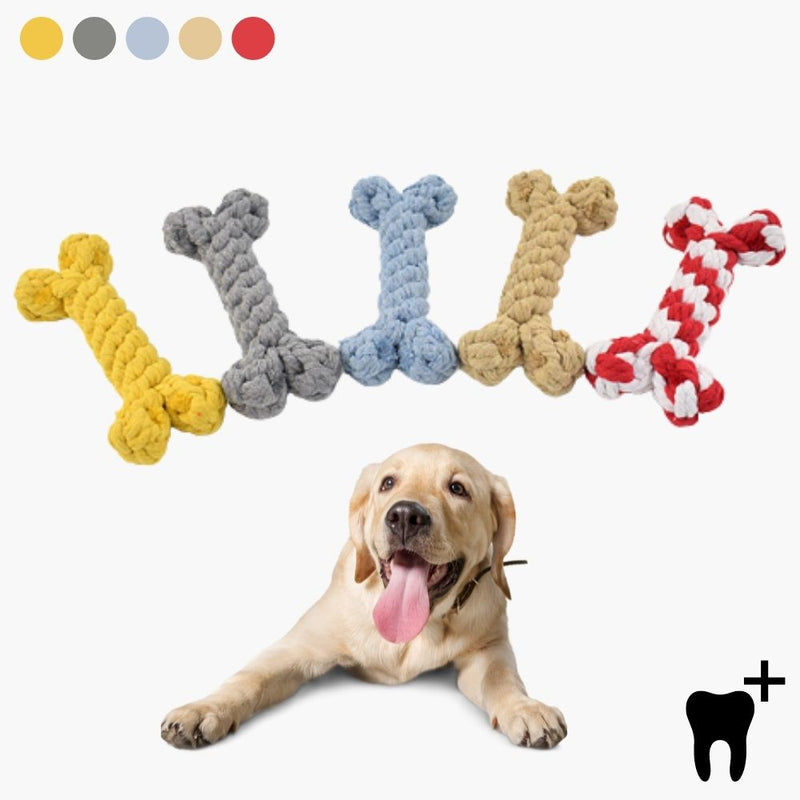 Dental Care Chew Toy for Dogs - CleanChew-Gray-State of Style