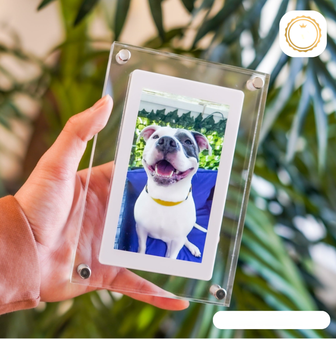 Digital Photo Frame - GlowFrame-12.50 cm-State of Style