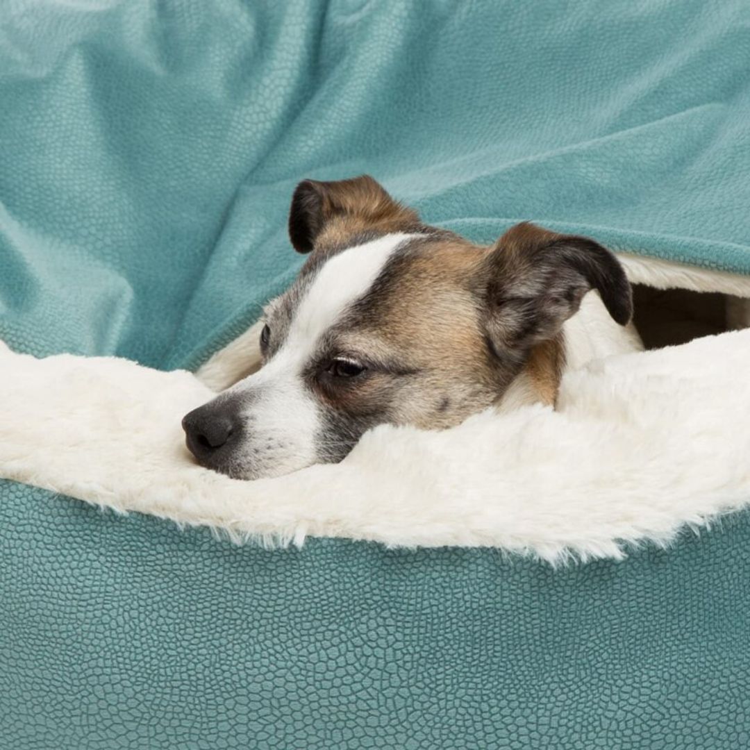 Dog Cuddle Cave - SnuggleNest-Green-S (50 cm)-State of Style
