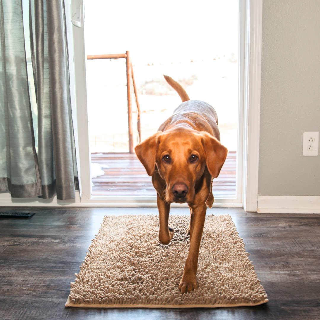 Dog Entrance Mat - Boris-Cream-S-State of Style