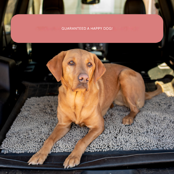 Dog Entrance Mat - Boris-Grey-S-State of Style