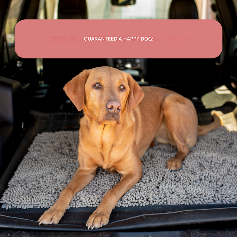 Dog Entrance Mat - Boris-Grey-S-State of Style