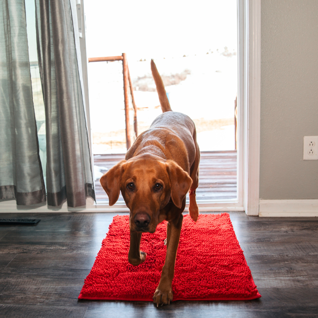 Dog Entrance Mat - Boris-Red-S-State of Style