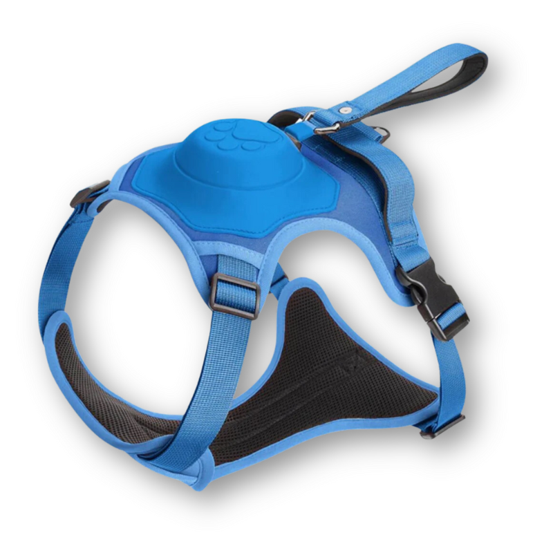 Dog Harness and Lead in One - FlexiLead-Blue-M - (5-13 Kg)-State of Style
