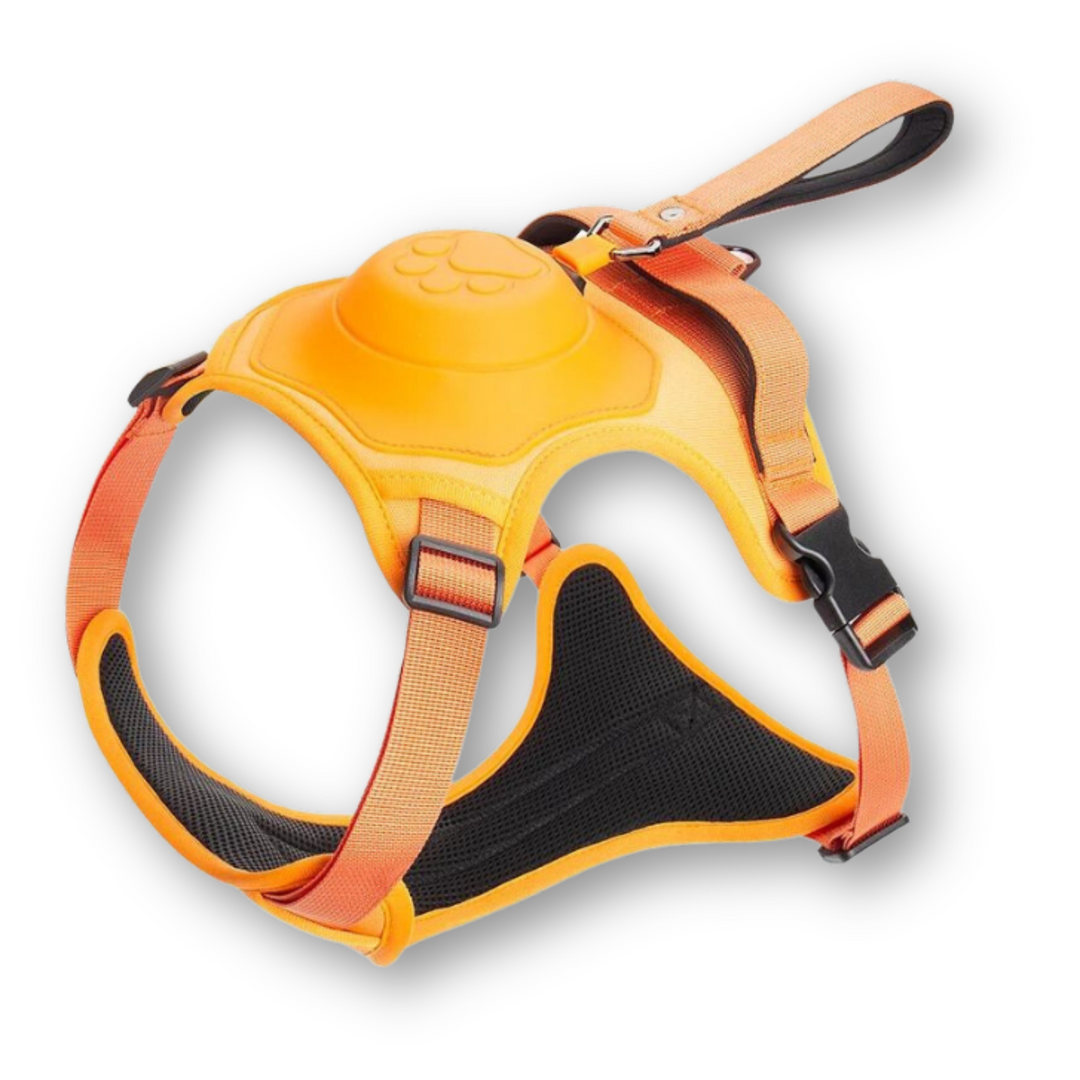 Dog Harness and Lead in One - FlexiLead-Orange-M - (5-13 Kg)-State of Style