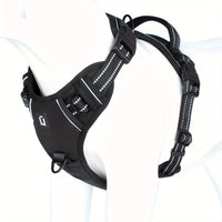 Dog Harness - SafeWalk-Black-S-State of Style