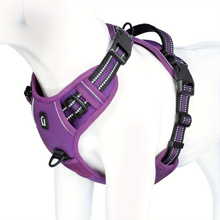 Dog harness - SafeWalk-Purple-S-State of Style