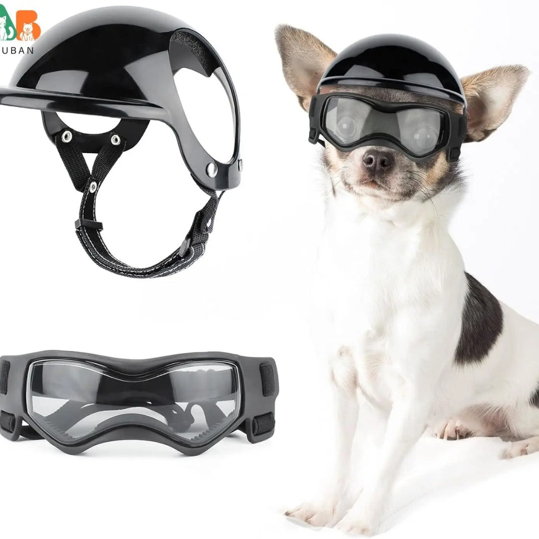 Dog Helmet and Goggles - RiderPaw-Black-S-State of Style