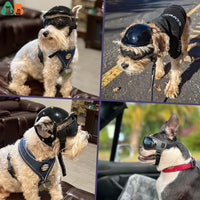 Dog Helmet and Goggles - RiderPaw-Red-S-State of Style
