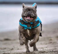 Dog Life Jacket - AquaPup-Blue-XS-State of Style