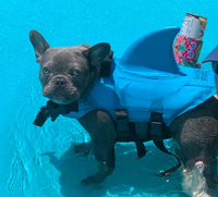 Dog Life Jacket - AquaPup-Blue-XS-State of Style