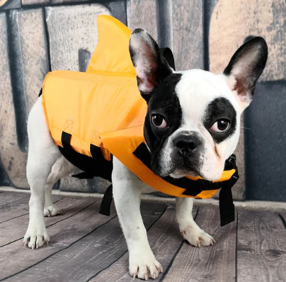 Dog Life Jacket - AquaPup-Blue-XS-State of Style