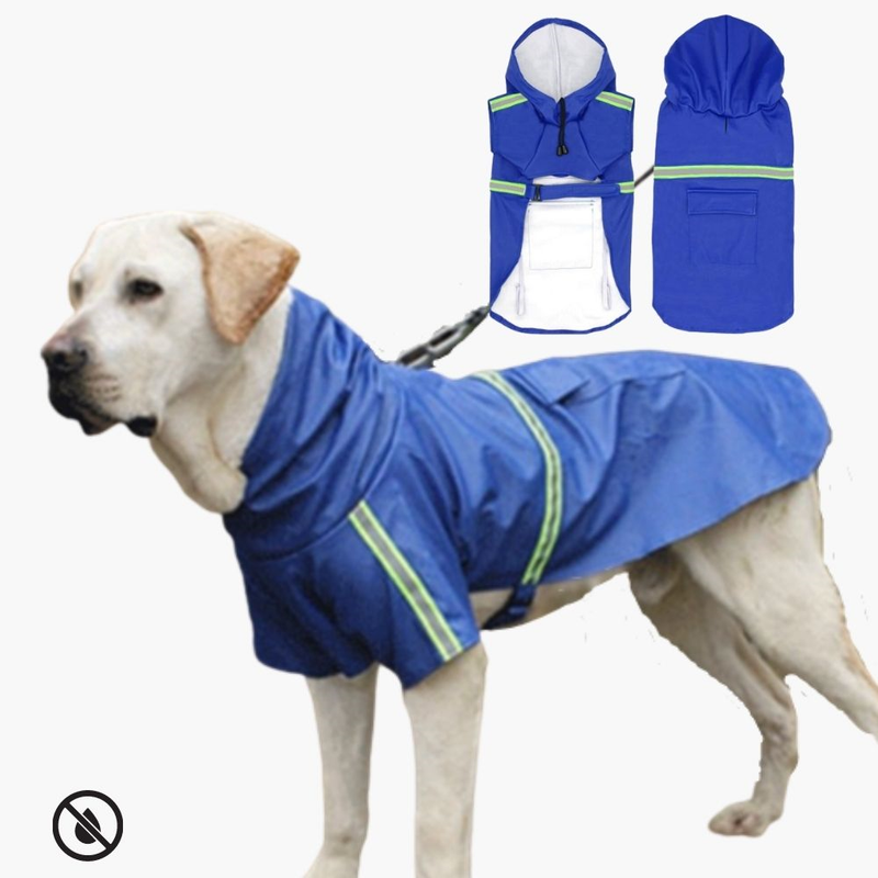 Dog Raincoat - RainGuard Pro-Blue-S-State of Style