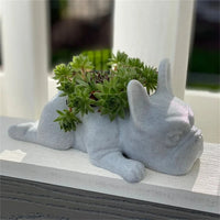 Dog Resin Succulent Planter - Buddy-State of Style