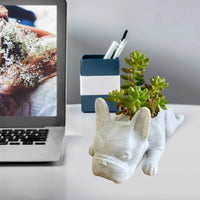 Dog Resin Succulent Planter - Buddy-State of Style
