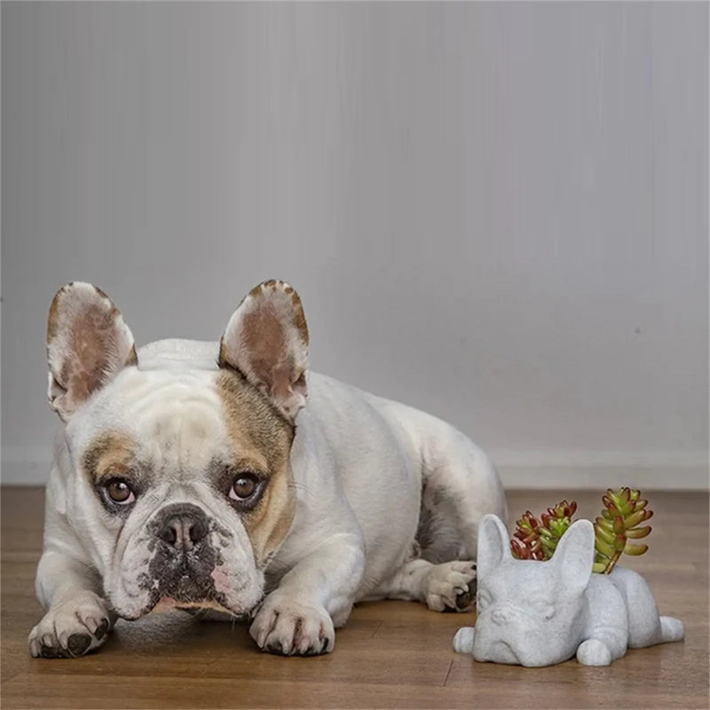 Dog Resin Succulent Planter - Buddy-State of Style