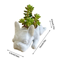 Dog Resin Succulent Planter - Buddy-State of Style
