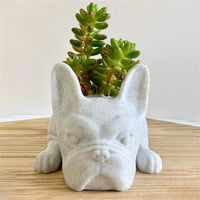 Dog Resin Succulent Planter - Buddy-State of Style