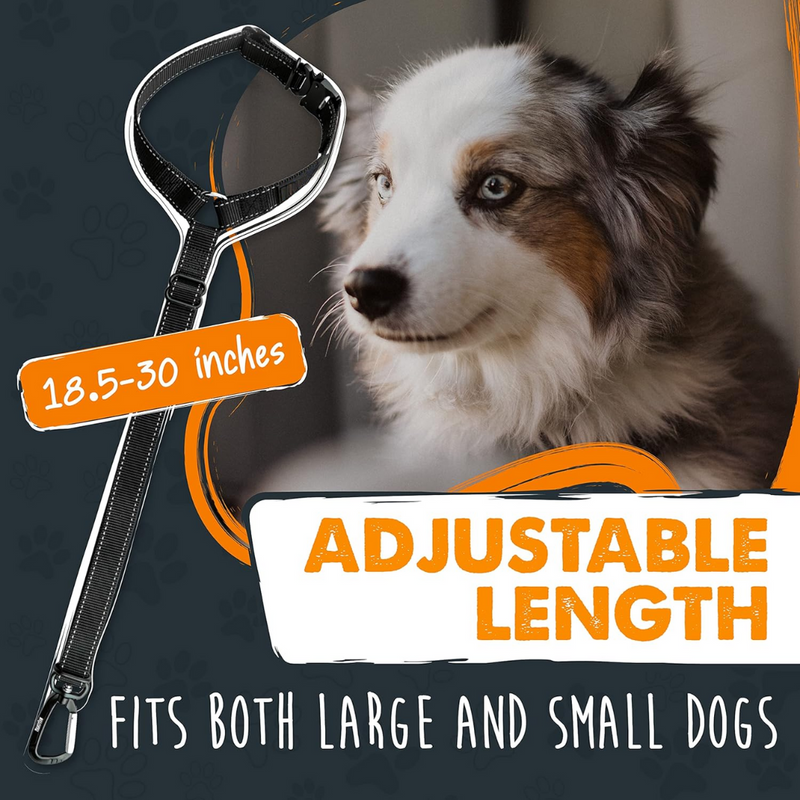 Dog seatbelt - Secure your pet safely in seconds!-State of Style