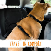 Dog seatbelt - Secure your pet safely in seconds!-State of Style