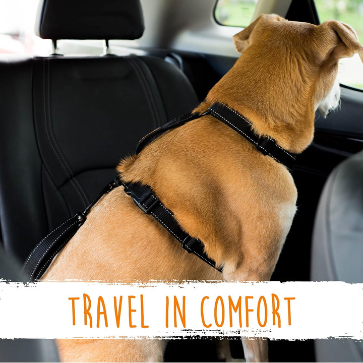Dog seatbelt - Secure your pet safely in seconds!-State of Style
