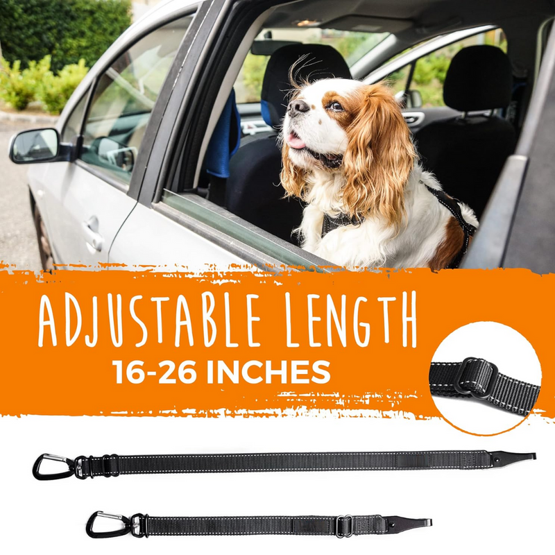 Dog seatbelt - Secure your pet safely in seconds!-State of Style