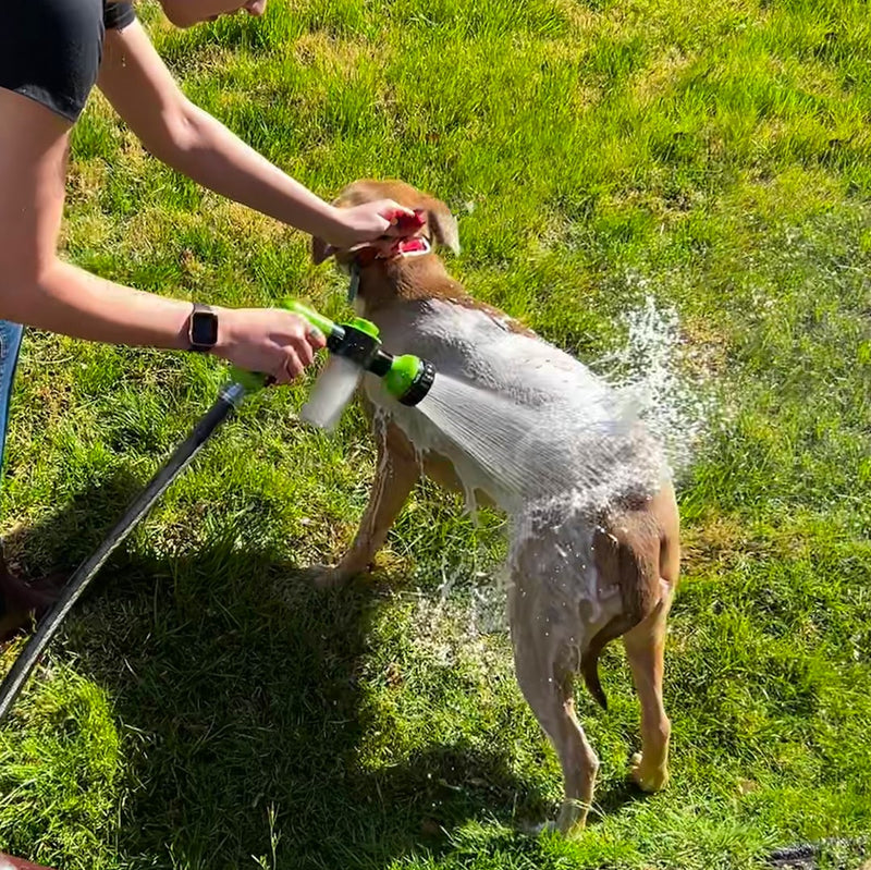 Dog Shower Sprayer - WashBuddy-Blue-State of Style