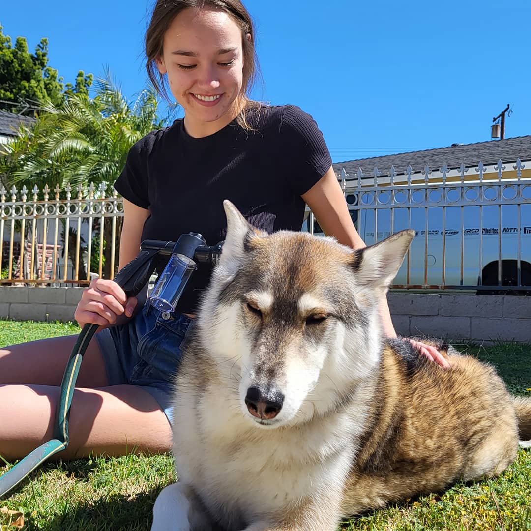 Dog Shower Sprayer - WashBuddy-Blue-State of Style