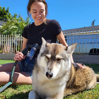 Dog Shower Sprayer - WashBuddy-Blue-State of Style