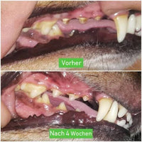 Dog Toothbrush - ChewyClean-M-State of Style