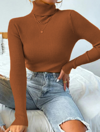 ElizasShirt | Women's Sweater with Collar-Brown-S-State of Style