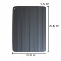 Fast and Safe Defrosting Tray - ThawMaster-State of Style