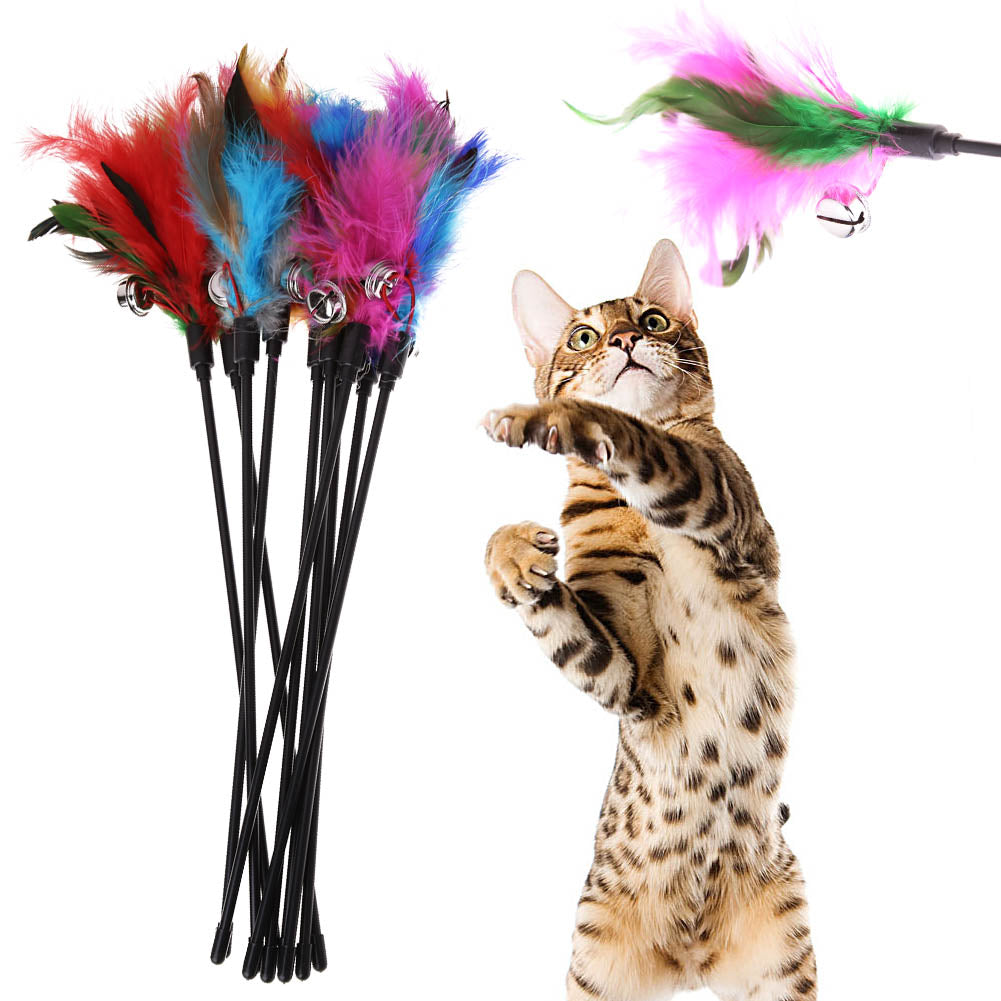 FeatherChase Cat Toys with Feathers (5 Pack)-Set type 1-State of Style