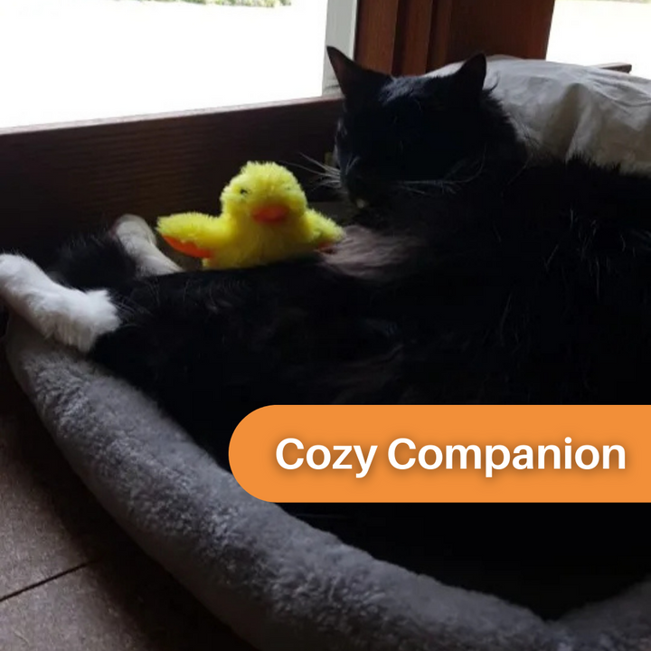Flapping Duck Toy for Cats - DuckDash™ (1+1 FREE)-State of Style
