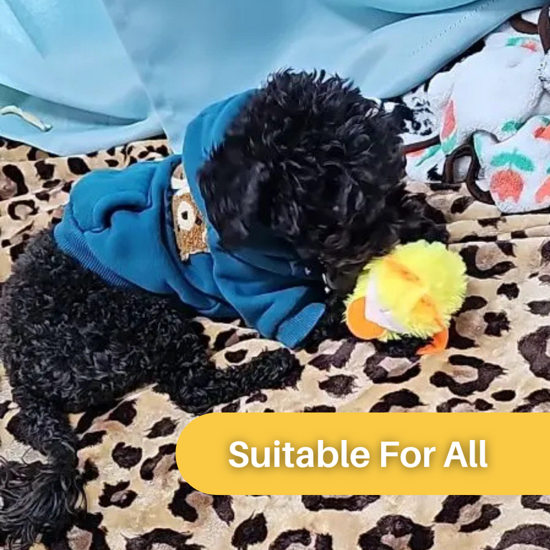 Flapping Duck Toy for Cats - DuckDash™ (1+1 FREE)-State of Style