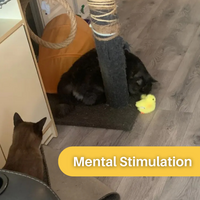 Flapping Duck Toy for Cats - DuckDash™ (1+1 FREE)-State of Style