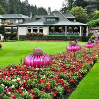 Flower-Shaped Bird Feeder - FloraFeeder-Red-State of Style