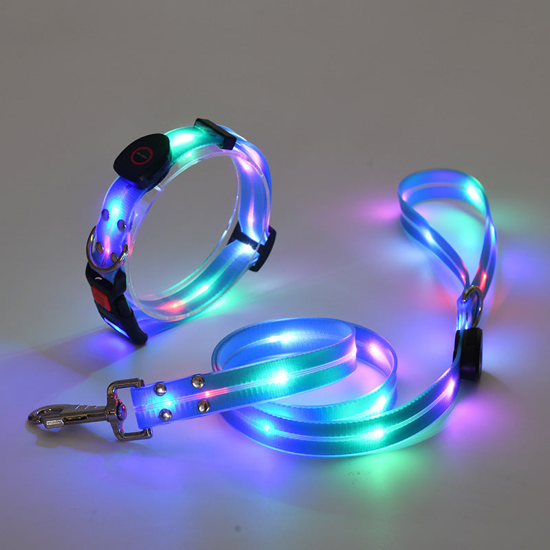 Glowing LED Dog Collar with Leash - NightBright-Blue-State of Style