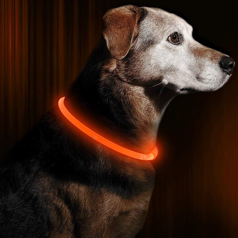 GlowSafe LED Dog Collar – Rechargeable USB Safety Light-Orange-State of Style