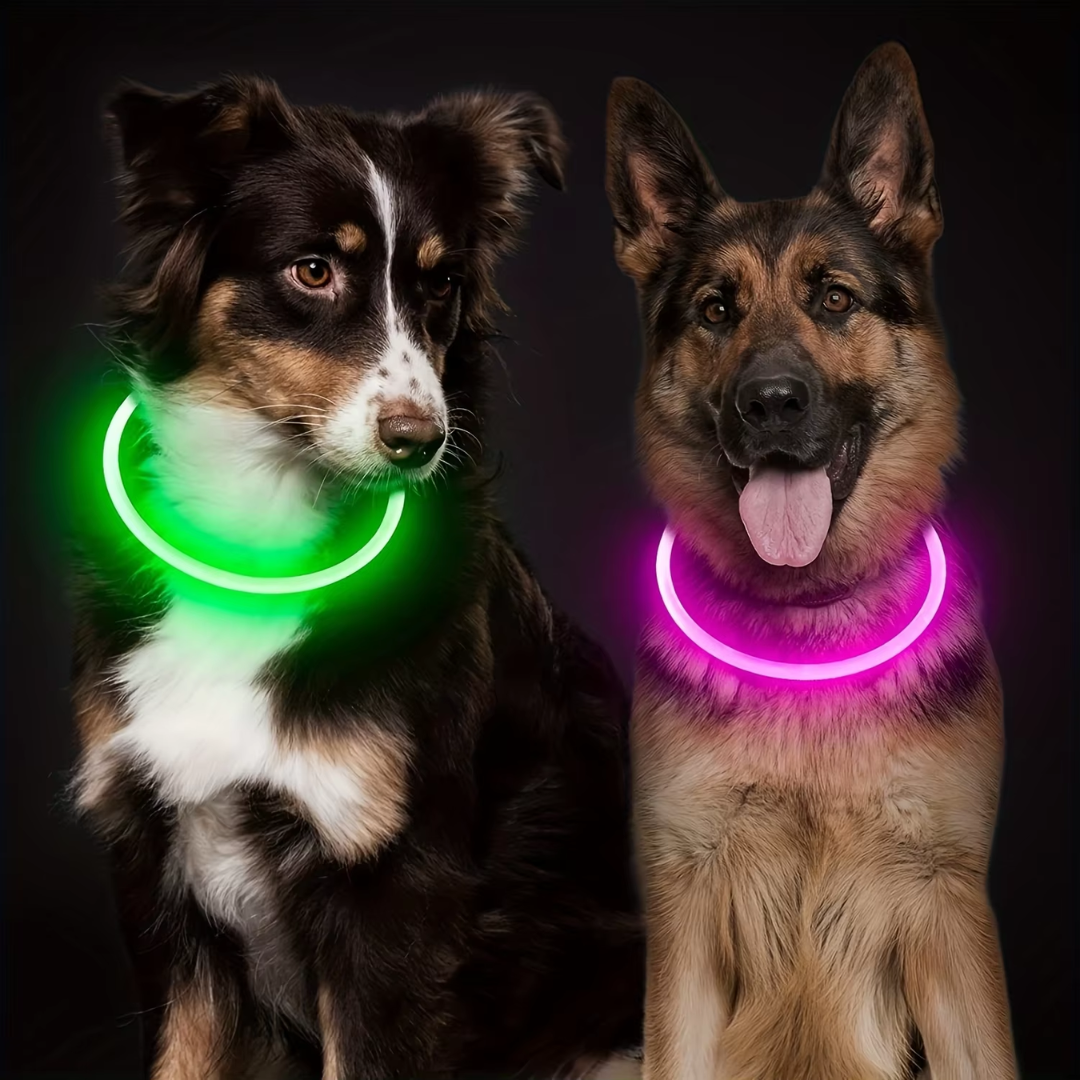 GlowSafe LED Dog Collar – Rechargeable USB Safety Light-Pink-State of Style