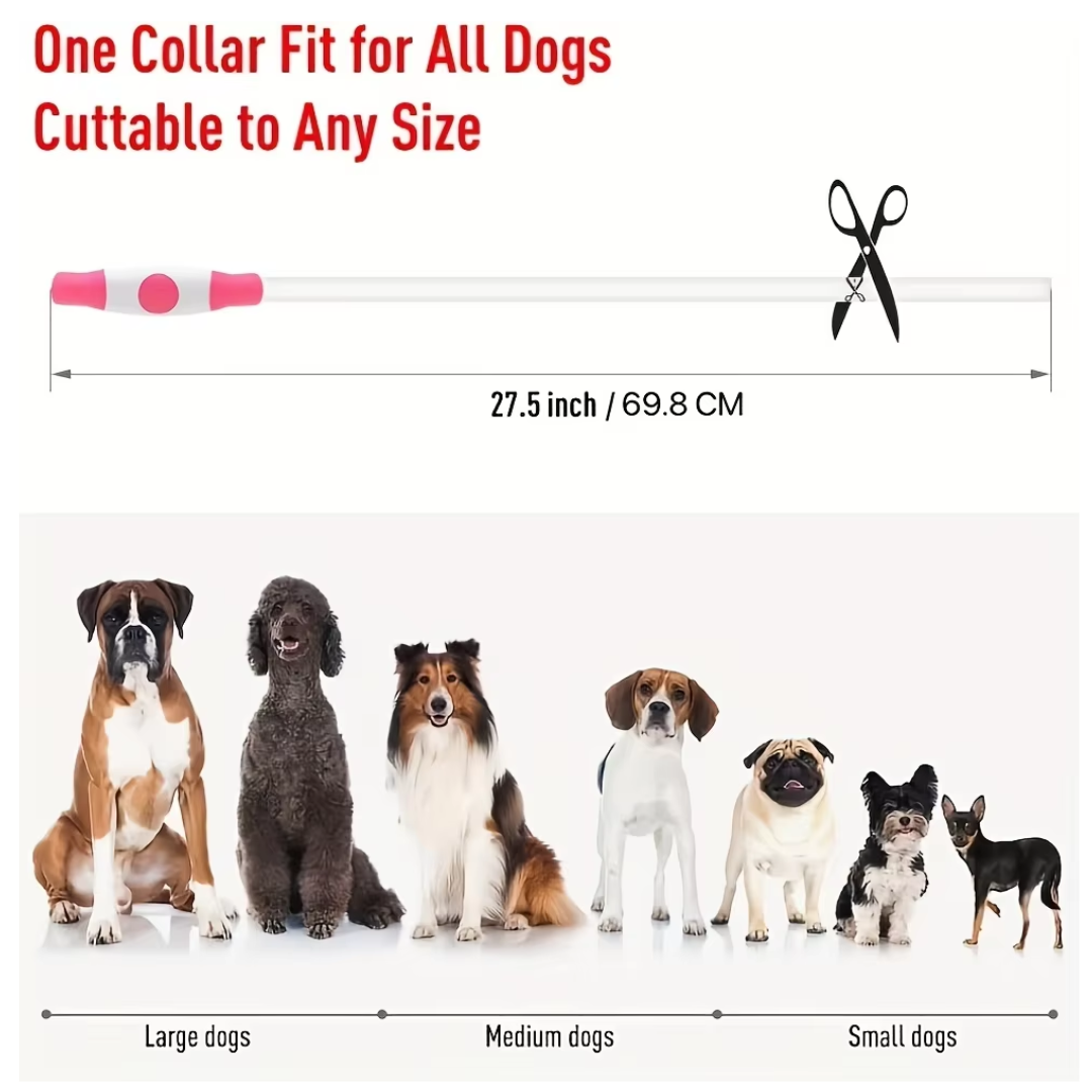 GlowSafe LED Dog Collar – Rechargeable USB Safety Light-Pink-State of Style