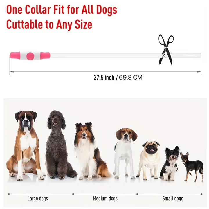 GlowSafe LED Dog Collar – Rechargeable USB Safety Light-Pink-State of Style