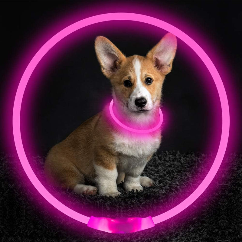 GlowSafe LED Dog Collar – Rechargeable USB Safety Light-Pink-State of Style