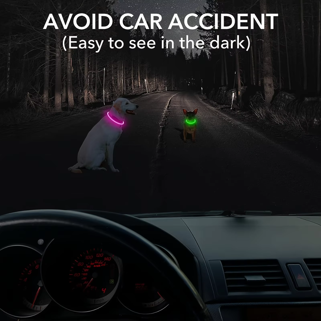 GlowSafe LED Dog Collar – Rechargeable USB Safety Light-Pink-State of Style