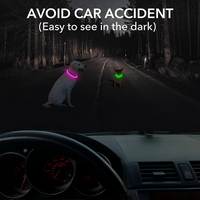 GlowSafe LED Dog Collar – Rechargeable USB Safety Light-Pink-State of Style